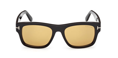 #colour_shiny-black-brown