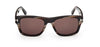 #colour_coloured-horn-brown