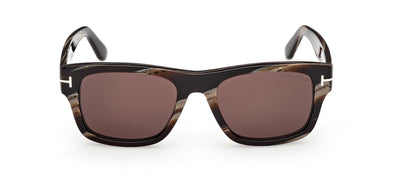 #colour_coloured-horn-brown