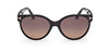 #colour_Shiny-Black-Bordeaux-Gradient