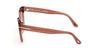 #colour_Shiny-Light-Brown/Brown-Gradient