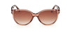 #colour_Shiny-Light-Brown/Brown-Gradient