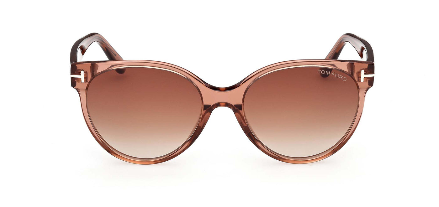 #colour_Shiny-Light-Brown/Brown-Gradient
