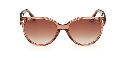 #colour_Shiny-Light-Brown/Brown-Gradient
