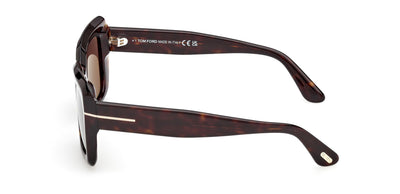 #colour_Dark-Havana-Brown