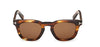 #colour_coloured-havana-brown