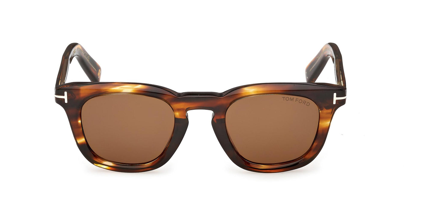 #colour_coloured-havana-brown