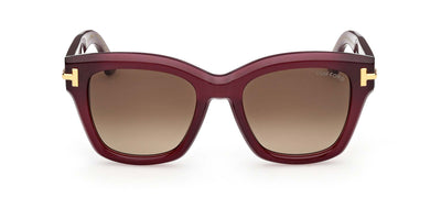 #colour_shiny-burgundy-brown-gradient