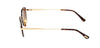 #colour_shiny-deep-gold-brown-gradient