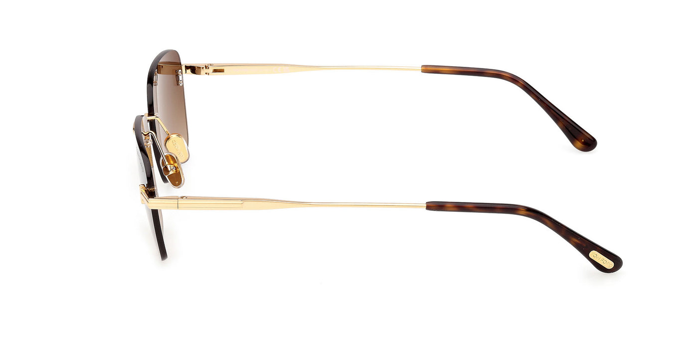 #colour_shiny-deep-gold-brown-gradient