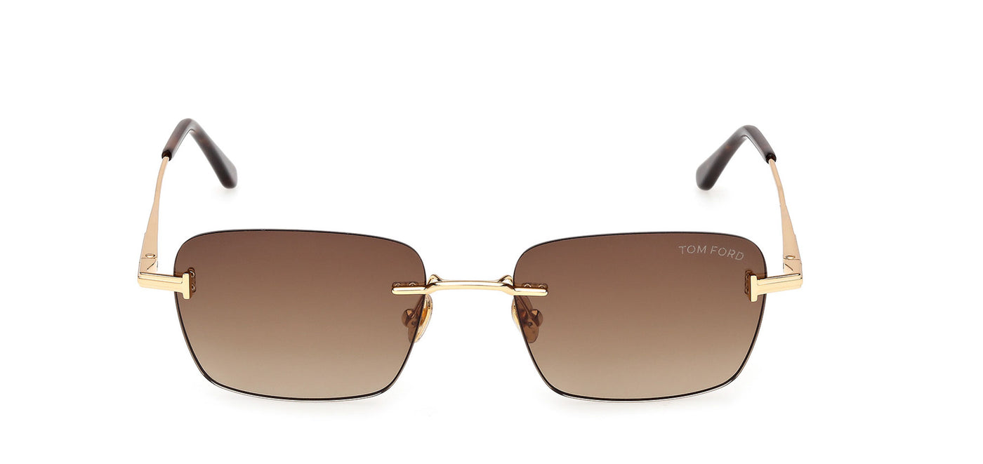 #colour_shiny-deep-gold-brown-gradient