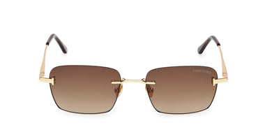 #colour_shiny-deep-gold-brown-gradient