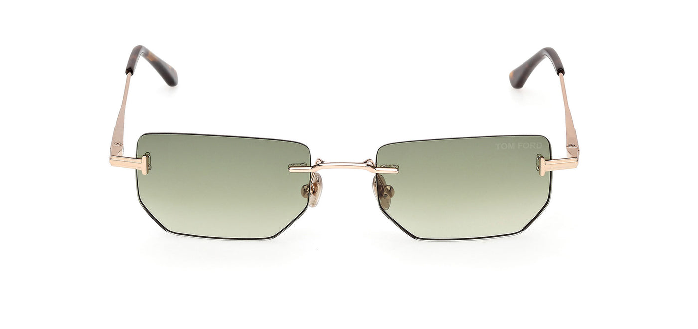 #colour_shiny-rose-gold-green-gradient