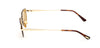 #colour_shiny-deep-gold-brown