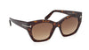 Tom Ford Joni-02 TF1422#colour_dark-havana-brown-gradient