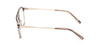 #colour_shiny-light-brown