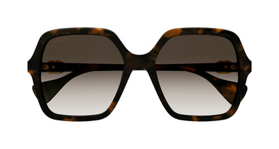 #colour_havana-brown-gradient