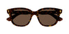#colour_havana-brown