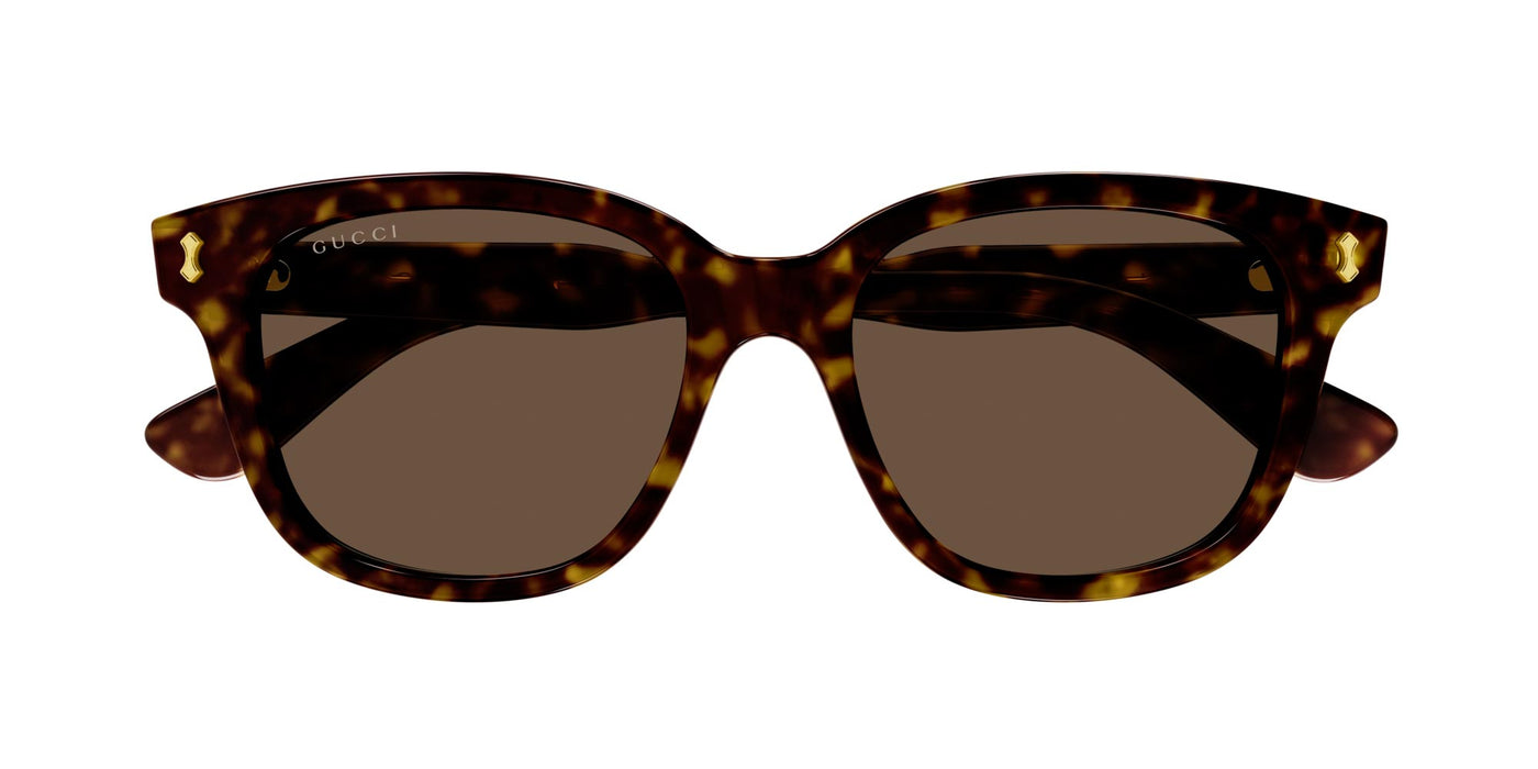 #colour_havana-brown