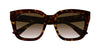 #colour_havana-brown-gradient