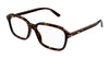 Gucci GG1446O Havana #colour_havana