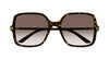 #colour_havana-brown-gradient
