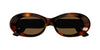 #colour_havana-brown