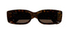 #colour_havana-brown