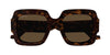 #colour_havana-brown