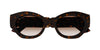 #colour_havana-brown-gradient