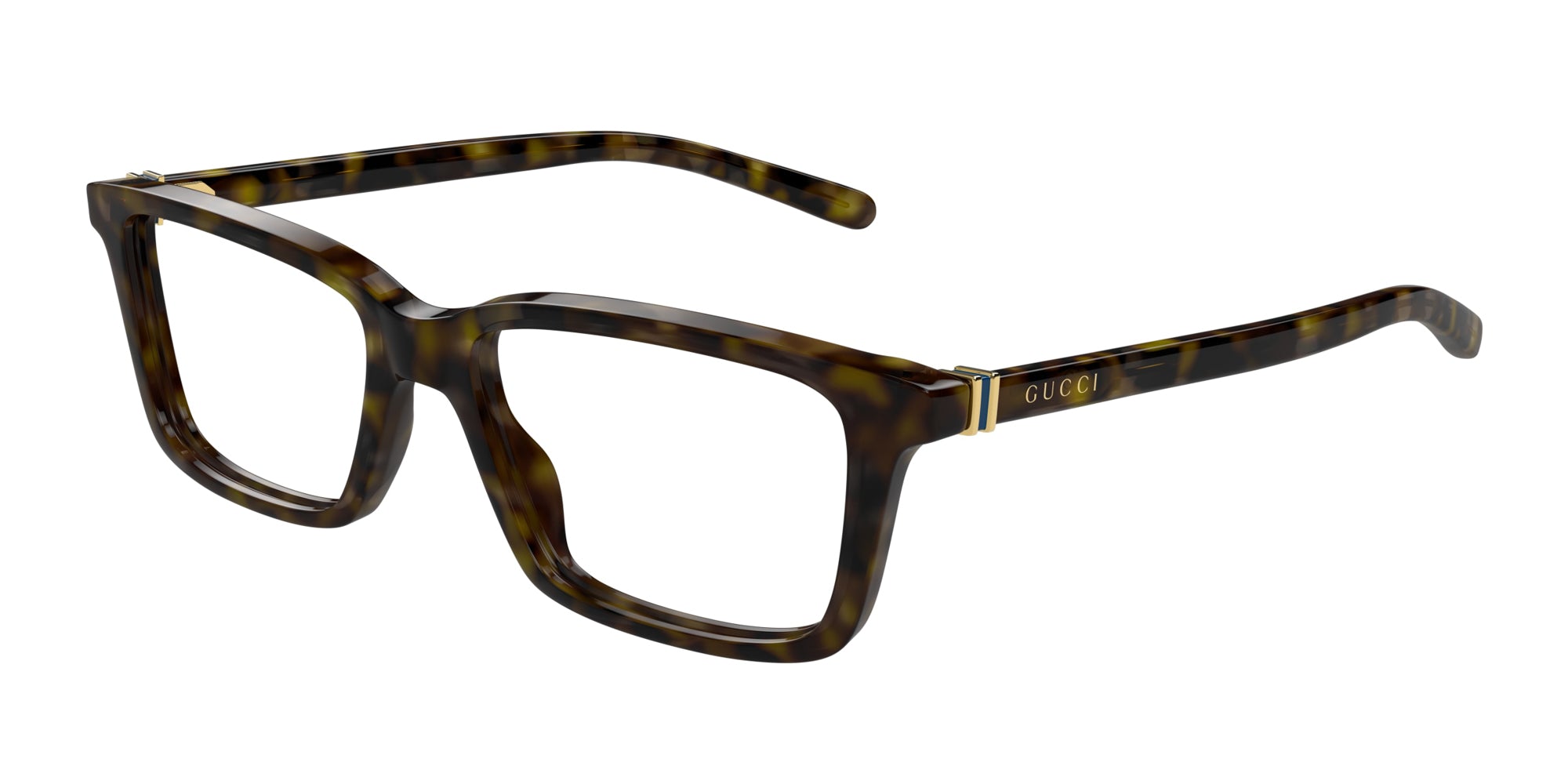 Gucci GG1672O Square Glasses | Fashion Eyewear