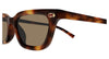 #colour_havana-brown-photochromic