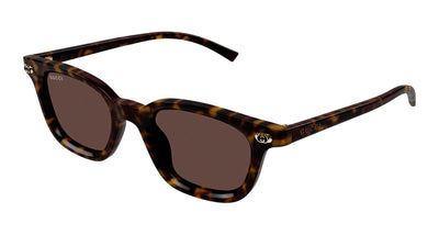 #colour_havana-brown