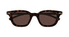 #colour_havana-brown