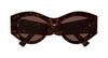 #colour_havana-brown
