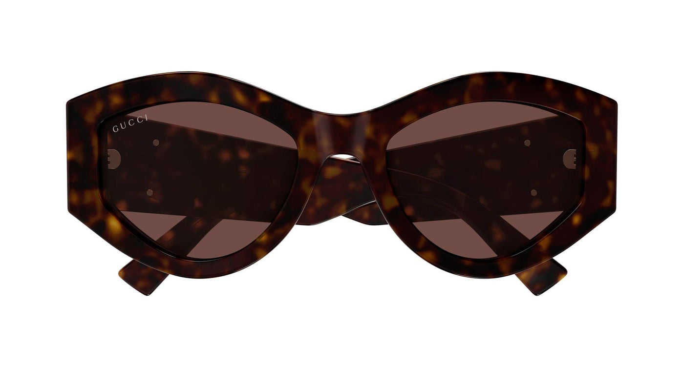 #colour_havana-brown