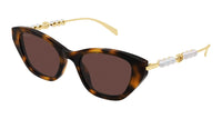 #colour_havana-brown