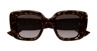 #colour_havana-brown-gradient