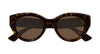 #colour_havana-brown