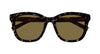 #colour_havana-brown