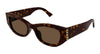 Gucci GG2044SA #colour_havana-brown