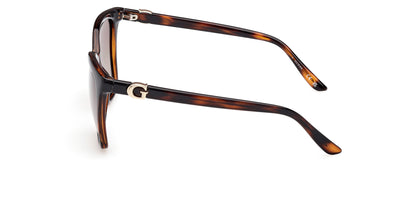 #colour_dark-havana-brown-polarised