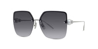 #colour_shiny-silver-grey-gradient