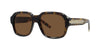 #colour_shiny-havana-brown