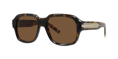 #colour_shiny-havana-brown