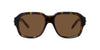 #colour_shiny-havana-brown