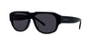 #colour_shiny-black-grey