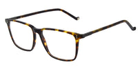 #colour_gloss-tortoise