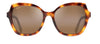 #colour_tortoise-hcl-bronze-maui-gradient