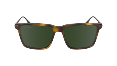 Lacoste L6017S Havana/Green #colour_havana-green